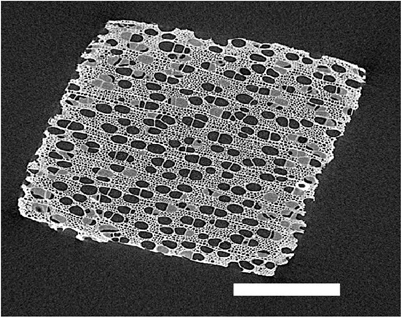 An X-ray based system for fibre reinforced materials in collaboration with Xnovotech and PSI