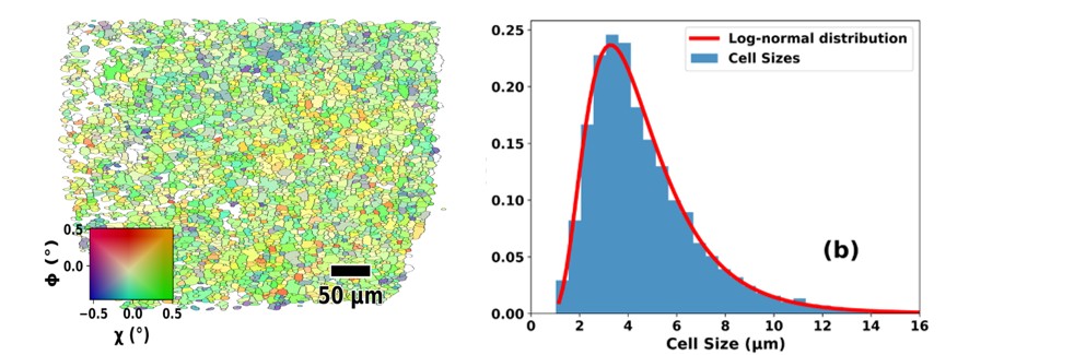 Cells form in a stochastic, isotropic and uncorrelated manner already at 1% strain. 